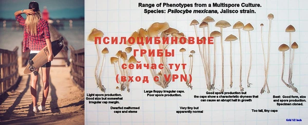 прущая мука Заволжье