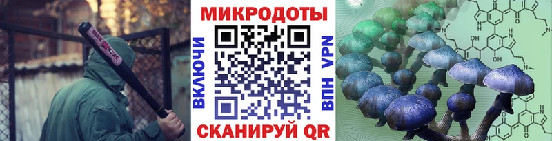 наркотики  Находка  Галлюциногенные грибы Cubensis 