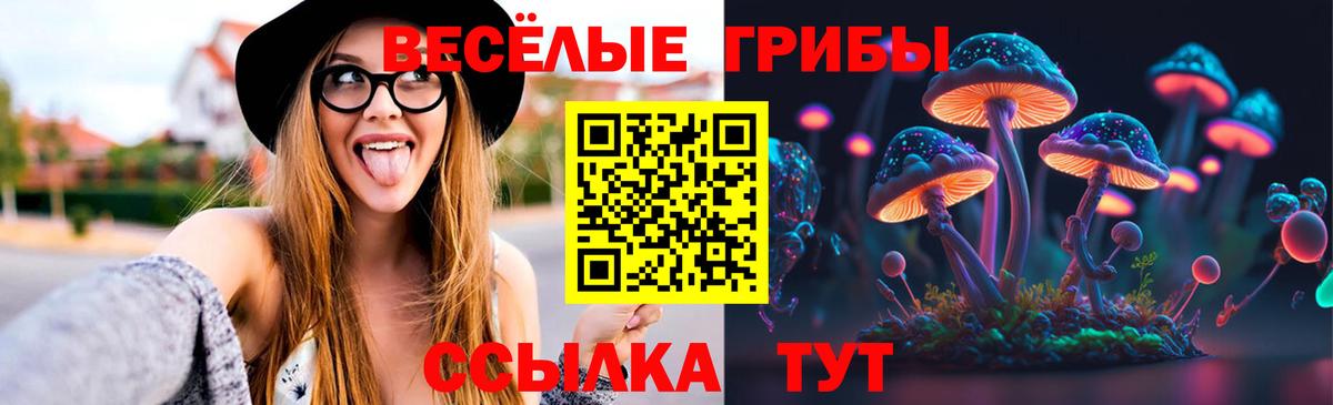 Галлюциногенные грибы GOLDEN TEACHER  Вход с VPN  Находка  Псилоцибиновые грибы Cubensis 