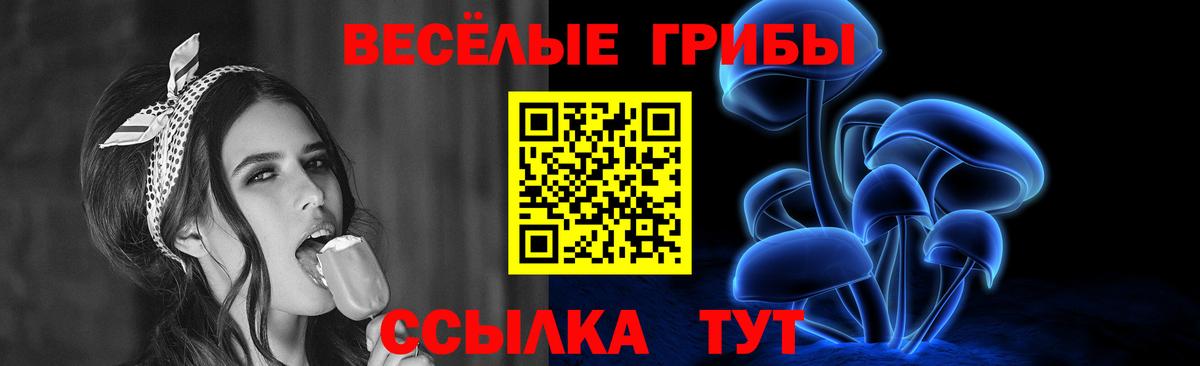 Псилоцибиновые грибы Psilocybine cubensis Находка
